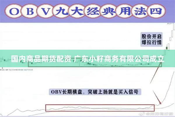 国内商品期货配资 广东小籽商务有限公司成立