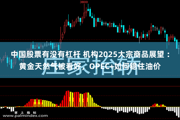 中国股票有没有杠杆 机构2025大宗商品展望 ：黄金天然气被看好，OPEC+如何稳住油价